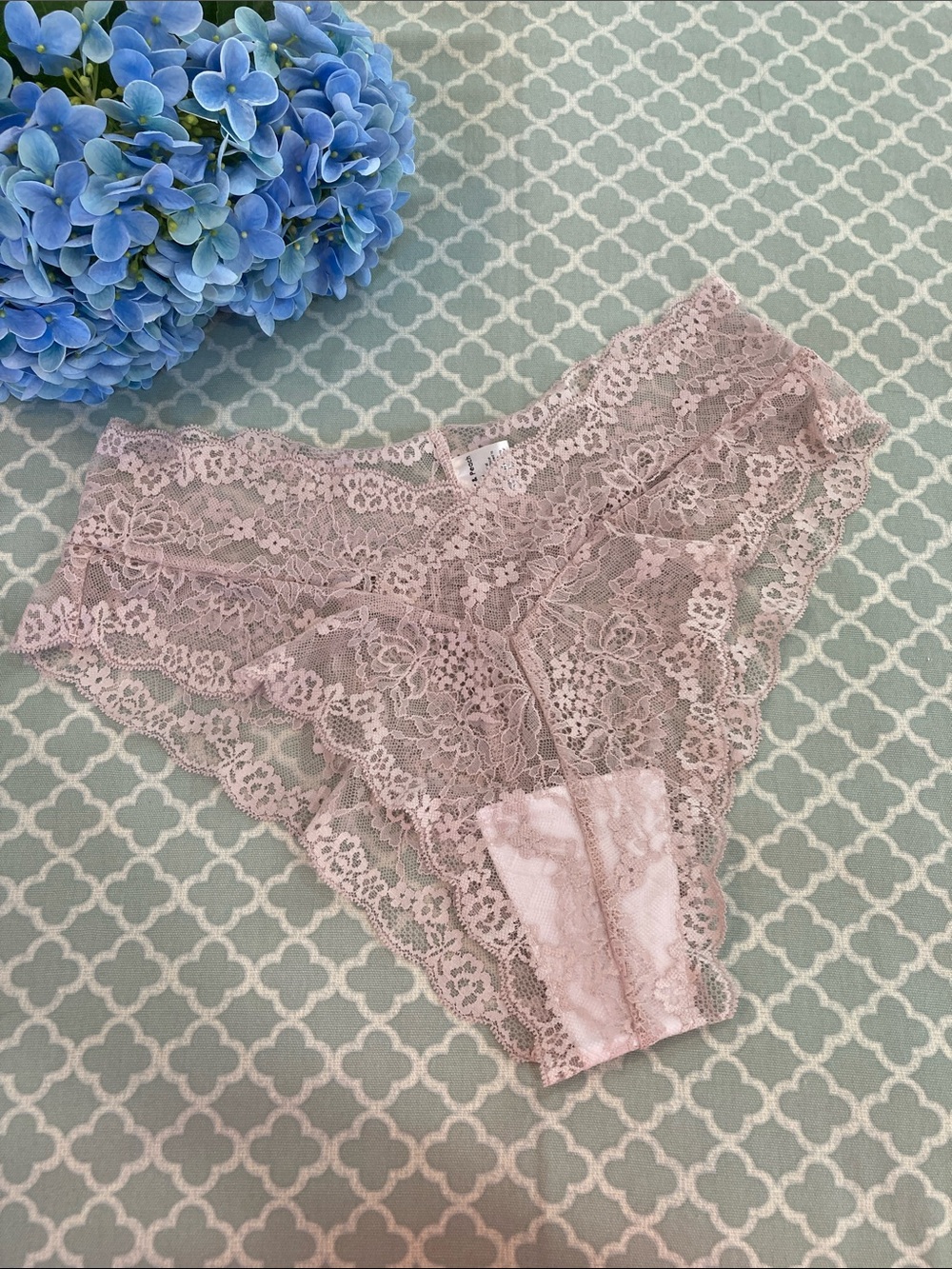 NEW Ginger & Peach Lace Panty Mauve XL